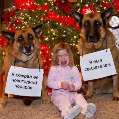 Прикрепленное изображение: свидететль.jpg